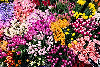 《最后的生还者2：重制版》预告 展示肉鸽生存模式