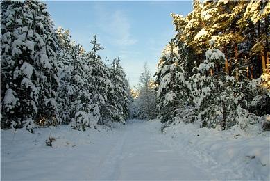 《瘟疫传说：安魂曲》配置需求公布 推荐RTX3070