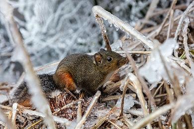 动作冒险《重返南格林》上架Steam 支持简体中文